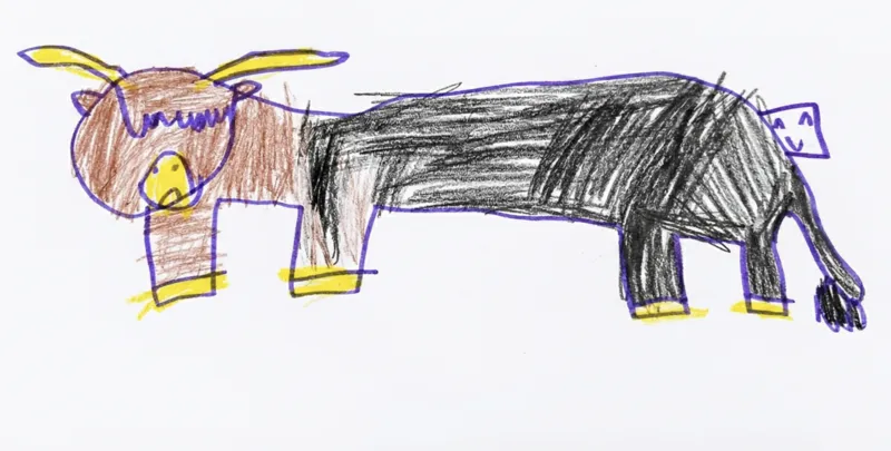 Drawing of Cow