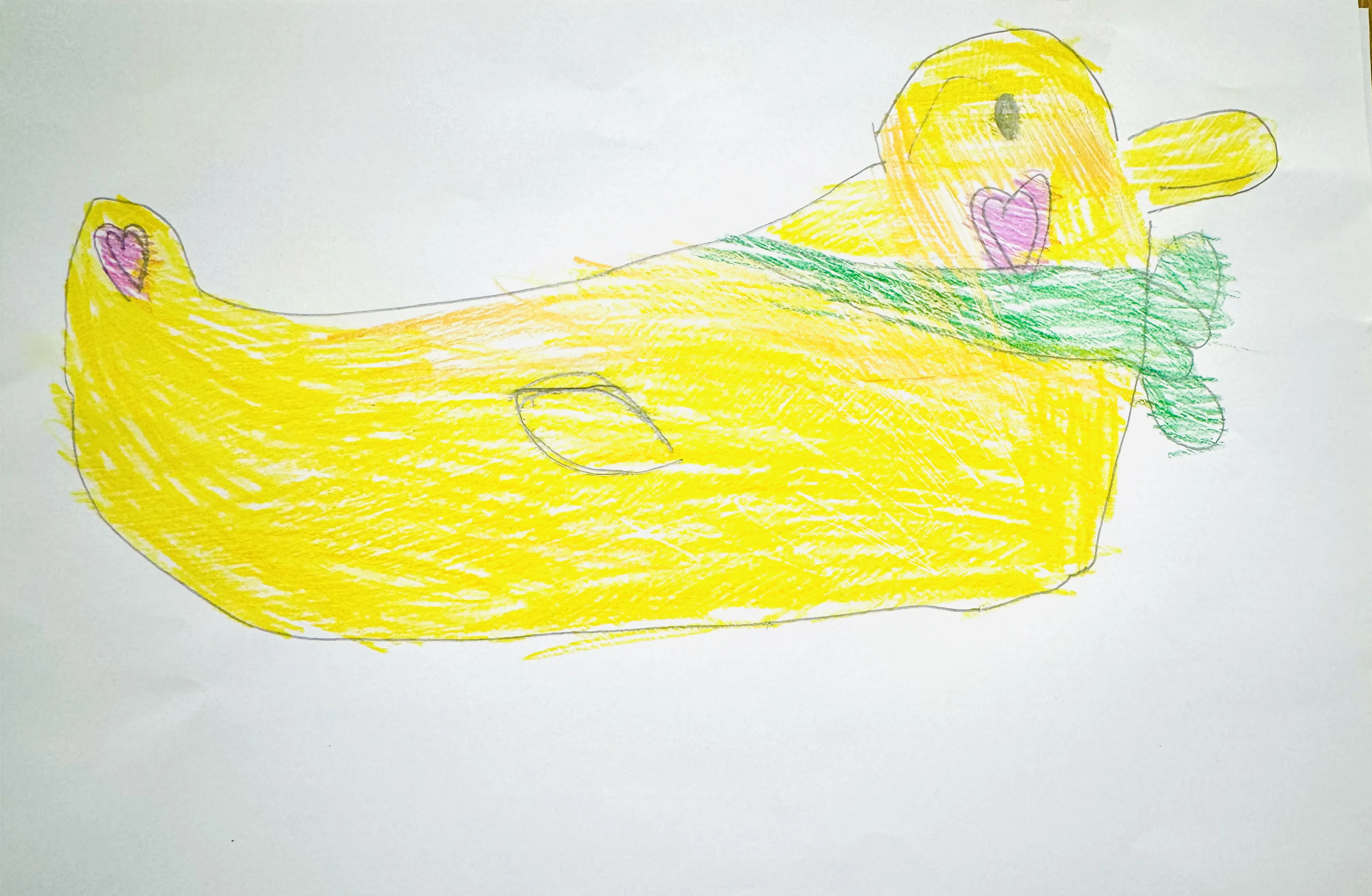 Drawing of The Duck